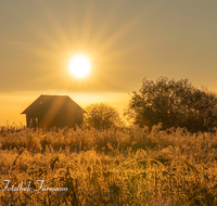 fileadmin/roha/Lieblingsbilder-making/making-of/SO-AU-HAARM-0031-0759-D-roha-Sonne-Sonnenaufgang-Haarmoos-Nebel-Stadel.png