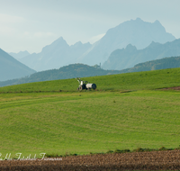 fileadmin/roha/images_galerie/Landwirtschaft/LANDW-MASCH-FEL-0010-D-roha-Landwirtschaft-Feld-Traktor-Sillersdorf-Watzmann-Lattengebirge-Johannishoegl.png