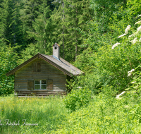 fileadmin/roha/images_galerie/orte_landschaft/Anger/Anger/AN-HOCHB-0005-D-roha-Anger-Blumenwiese-Hochbodenhuette.png