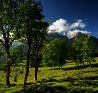 fileadmin/roha/images_galerie/orte_landschaft/Berchtesgaden/Ramsau/BGD-RA-LAN-0036-09-D-roha-Berchtesgaden-Ramsau-Landschaft-Blaueis-Hochkalter-Almwiese.png