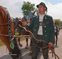 fileadmin/roha/images_galerie/brauchtum/Leonhardiritt/Holzhausen_01/BR-PFRI-HOLZ-0159-D-roha-Brauchtum-Pferdeumritt-Holzhausen-Teisendorf-Leonhardiritt-Pferd-Gespann.png