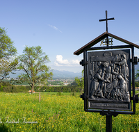 fileadmin/roha/images_galerie/kirche_religion/Ainring-Kreuzweg/KKKM-AINR-KR-13-0045-D-roha-Kreuzweg-Ainring-Ulrichshoegl-Fruehling.png