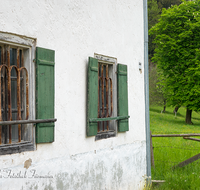 fileadmin/roha/images_galerie/Fenster-Tueren/LANDA-FENST-KOHLH-0001-D-roha-Landart-Fenster-Fensterkreuz-Fensterladen-Kastanienbaum-Anger-Kohlhaeusl.png