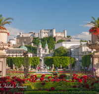 fileadmin/roha/images_galerie/architektur-Haeuser/SA-MIRA-GART-0012-D-roha-Salzburg-Mirabell-Schloss-Garten-Figuren-Festung-Hohensalzburg.png