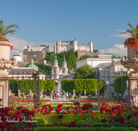 fileadmin/roha/images_galerie/architektur-Haeuser/SA-MIRA-GART-0012-D-roha-Salzburg-Mirabell-Schloss-Garten-Figuren-Festung-Hohensalzburg.png