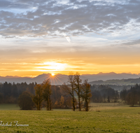 fileadmin/roha/images_galerie/stimmung-Sonne/Sonnenaufgang/SON-AU-UFE-0001-0706-D-roha-Sonnenaufgang-Surtal-Teisendorf-Ulrichshoegl-Ufering.png