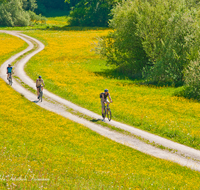 fileadmin/roha/images_galerie/Freizeit-Sport/Mountainbike-Radfahren/SPO-MOUN-TEIS-SUR-0014-D-roha-Sport-Mountainbike-Surspeicher-Teisendorf-Blumenwiese-Feldweg.png