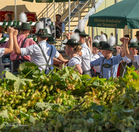 fileadmin/roha/images_galerie/kulinarisch/Wieninger/WIENINGER-HOPF-FEST-2023-1620-03-roha-Wieninger-Hopfenzupferfest.png