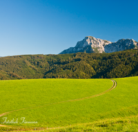 fileadmin/roha/images_galerie/wege/LANDS-ANG-NEUH-0016-D-roha-Landschaft-Anger-Neuhaus-Hochstaufen-Weg.png