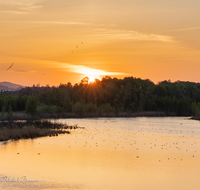 fileadmin/roha/images_galerie/orte_landschaft/Ainring/SO-UN-AIN-MOOR-0014-D-roha-Sonne-Sonnenuntergang-Ainringer-Moor.png