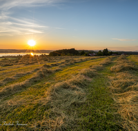 fileadmin/roha/images_galerie/orte_landschaft/Waging/SON-AU-MUEHLB-0001-0535-D-roha-Sonnenaufgang-Muehlberg-Waginger-See.png