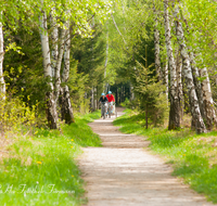 fileadmin/roha/images_galerie/Freizeit-Sport/Mountainbike-Radfahren/SPO-MOUN-KENDLM-0001-D-roha-Sport-Mountainbike-Rad-Rottau-Kendelmuehlfilzen-Weg.png