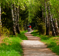 fileadmin/roha/images_galerie/Freizeit-Sport/Mountainbike-Radfahren/SPO-MOUN-KENDLM-0001-D-roha-Sport-Mountainbike-Rad-Rottau-Kendelmuehlfilzen-Weg.png