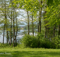 fileadmin/roha/images_galerie/orte_landschaft/Abtsdorf-Abtsdorfer-See/ABTS-SEE-0003-14-D-roha-Abtsdorfer-See-Hochstaufen-Zwiesel-Ufer.png