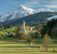 fileadmin/roha/images_galerie/orte_landschaft/Anger/Hoeglwoerth/AN-HOE-0020-18-D-roha-Anger-Hoeglwoerth-Hochstaufen-Fruehling.png