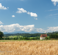 fileadmin/roha/images_galerie/orte_landschaft/Waging/LANDS-TACH-COL-0010-D-roha-Landschaft-Tachinger-See-St-Coloman-Getreidefeld.png