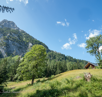 fileadmin/roha/images_galerie/orte_landschaft/Piding/PID-KOCH-ALM-0001-D-roha-Piding-Koch-Alm.png