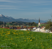 fileadmin/roha/images_galerie/orte_landschaft/Teisendorf/Neukirchen/TEI-NEUK-0002-6-D-roha-Teisendorf-Neukirchen-Chiemgauer-Berge-Blumenwiese.png