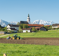 fileadmin/roha/images_galerie/Landwirtschaft/TEI-WEI-0004-33-D-roha-Teisendorf-Teisendorf-Weildorf-Kirche-Landwirt.png