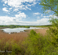 fileadmin/roha/images_galerie/orte_landschaft/Ainring/AINR-MOOR-0014-D-roha-Ainring-Moor-See-Schilf-Wolken.png