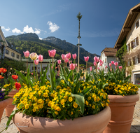 fileadmin/roha/images_galerie/orte_landschaft/Bad_Reichenhall/BR-MAIB-BAD-REI-FL-0007-D-roha-Maibaum-Bad-Reichenhall-Florianiplatz.png