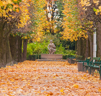 fileadmin/roha/images_galerie/orte_landschaft/Salzburg/Mirabell-Zwergerlgarten/SA-MIRA-GART-ALLEE-0003-D-roha-Salzburg-Mirabell-Garten-Schloss-Allee-Bank.png