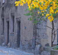 fileadmin/roha/images_galerie/orte_landschaft/Salzburg/Steingasse/SA-STEING-0009-D-roha-Salzburg-Steingasse-Kopfsteinpflaster.png