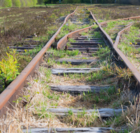 fileadmin/roha/images_galerie/orte_landschaft/Ainring/AINR-MOOR-0004-5-D-roha-Ainring-Moor-Torf-Torfabbau-Boggerlbahn-Schiene.png