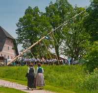 fileadmin/roha/images_galerie/brauchtum/Maibaum/Anger-Hoeglwoerth/BR-MAIB-HOEGLW-0001-D-roha-Brauchtum-Maibaum-Anger-Hoeglwoerth.png