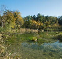 fileadmin/roha/images_galerie/orte_landschaft/Bad_Reichenhall/LANDS-BAD-REI-MARZ-AU-0002-D-roha-Landschaft-Bad-Reichenhall-Marzoll-Au-Saalach-Wasser.png