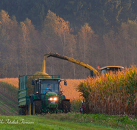 fileadmin/roha/images_galerie/Landwirtschaft/LANDW-MASCH-MAIS-0021-D-roha-Landwirtschaft-Mais-haeckseln-Ernte.png