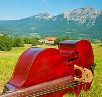 fileadmin/roha/images_galerie/musik/klassisch/MU-BASSG-BAD-REI-0005-D-roha-Musik-Bassgeige-Bad-Reichenhall-Burg-Gruttenstein.png