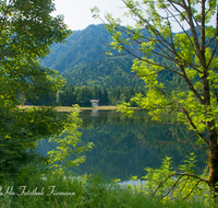 fileadmin/roha/images_galerie/orte_landschaft/Ruhpolding/RUH-LOED-0021-D-roha-Ruhpolding-Loedensee-Hochwasser.png