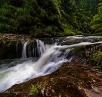 fileadmin/roha/images_galerie/orte_landschaft/Schneizlreuth/SCHNEILZL-WEISSB-0001-20-1074-D-M-roha-Schneizlreuth-Weissbach-Schlucht-Wasser..png