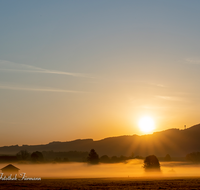 fileadmin/roha/images_galerie/stimmung-Sonne/Sonnenaufgang/SO-AU-HAARM-0030-0525-D-roha-Sonne-Sonnenaufgang-Haarmoos-Nebel.png