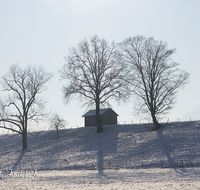 fileadmin/roha/images_galerie/Winter/STIM-WEIL-WI-0002-D-roha-Stimmung-Weildorf-Teisendorf-Winter-Raureif-Stadel.png