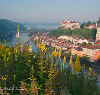 fileadmin/roha/images_galerie/orte_landschaft/Burghausen/BURGH-PAN-0017-D-roha-Burghausen-Salzach-Burg.png