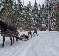 fileadmin/roha/images_galerie/Landwirtschaft/Forst-Holzknecht/HOLZKNE-HAM-PFERD-0015-1120-01-D-roha-Holzknecht-Pferd-Schlitten-Winter-Siegsdorf-Hammer-Winterzug.png