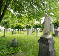 fileadmin/roha/images_galerie/orte_landschaft/Laufen/Klosterfriedhof/LAUF-KAPUZ-KI-0011-D-roha-Laufen-Kapuzinerkloster-Friedhof-Blumenwiese.png