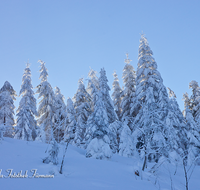 fileadmin/roha/images_galerie/Winter/WINT-TEI-STOI-0003-D-roha-Winter-Schnee-Tanne-Fichte-Teisenberg-Teisendorf-Stimmung.png