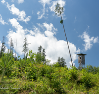 fileadmin/roha/images_galerie/orte_landschaft/Ainring/LANDA-JAEG-0005-D-roha-Landart-Jaegerstand-Wald-Hoegl-Ainring.png