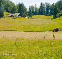 fileadmin/roha/images_galerie/orte_landschaft/Schneizlreuth/SCHNEILZL-WEISSB-R-ALM-0003-D-roha-Schneizlreuth-Weissbach-Reiteralm-Landwirtschaft-maehen.png