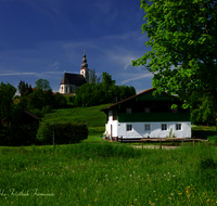 fileadmin/roha/images_galerie/orte_landschaft/Fridolfing/FRID-PIETL-0005-D-roha-Fridolfing-Pietling-Fruehling-Kirche-Blumenwiese.png