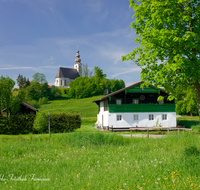 fileadmin/roha/images_galerie/orte_landschaft/Fridolfing/FRID-PIETL-0005-D-roha-Fridolfing-Pietling-Fruehling-Kirche-Blumenwiese.png