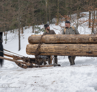 fileadmin/roha/images_galerie/Landwirtschaft/Forst-Holzknecht/HOLZKNE-HAM-PFERD-2019-1217-D-roha-Holzknecht-Winter-Siegsdorf-Hammer-Winterzug.png