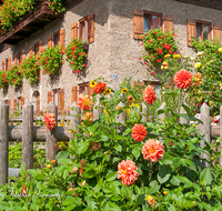 fileadmin/roha/images_galerie/architektur-Haeuser/LANDA-BLUMENSCHM-0041-D-roha-Landart-Blumenschmuck-Bauernhaus-Garten-Dahlien.png