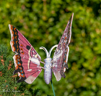 fileadmin/roha/images_galerie/dies_das/LANDA-GART-SCHME-0001-D-roha-Landart-Garten-Deko-Schmetterling.png