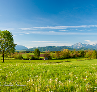 fileadmin/roha/images_galerie/orte_landschaft/Saaldorf/LANDS-SAAL-SILL-0002-D-roha-Landschaft-Saaldorf-Sillersdorf-Untersberg-Hochstaufen-Zwiesel.png