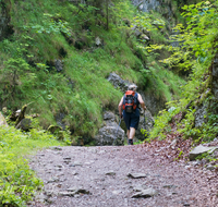 fileadmin/roha/images_galerie/Freizeit-Sport/Wandern/SCHNEILZL-WA-BA-WE-0010-D-roha-Schneizlreuth-Weissbach-Waldbahnweg-Wandern-Weg.png