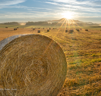 fileadmin/roha/images_galerie/Hintergrund-Download/1280x1024/SON-AU-SAAL-BRUEN-0001-0619-D-M-roha-Sonnenaufgang-Saaldorf-Bruennthal.png